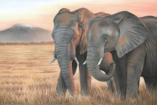 Richard Macwee: Two Elephants by Richard Macwee
