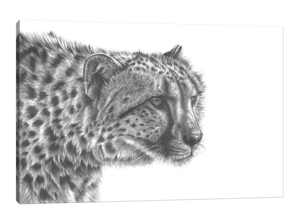 Leopard, white pencil on black paper. : r/drawing