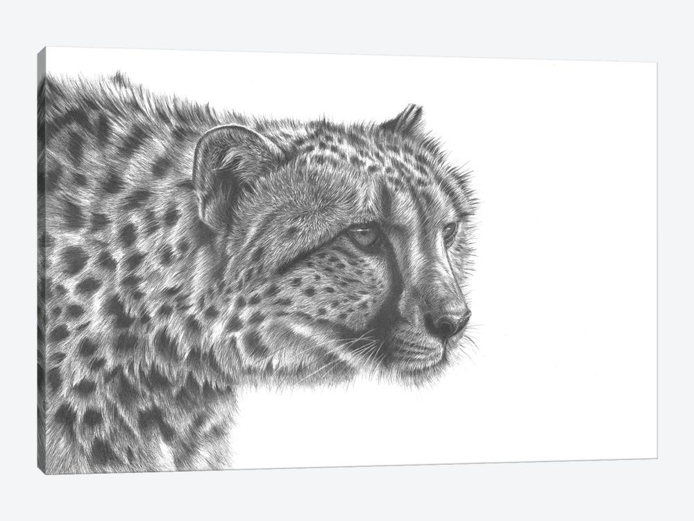 Cheetahs. Hand Painted. Pen on canvas. B/W. Wild animals .br