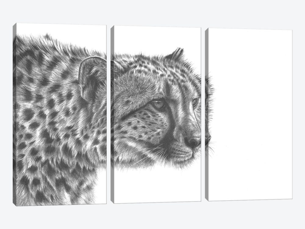Cheetah Drawing by Richard Macwee 3-piece Canvas Art