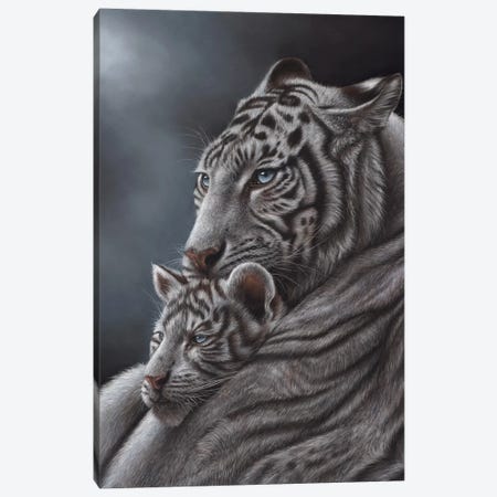 White Tiger Canvas Print #RMC61} by Richard Macwee Canvas Print
