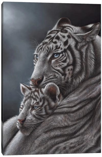 White Tiger Canvas Art Print - Richard Macwee
