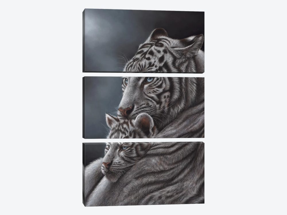 White Tiger by Richard Macwee 3-piece Art Print