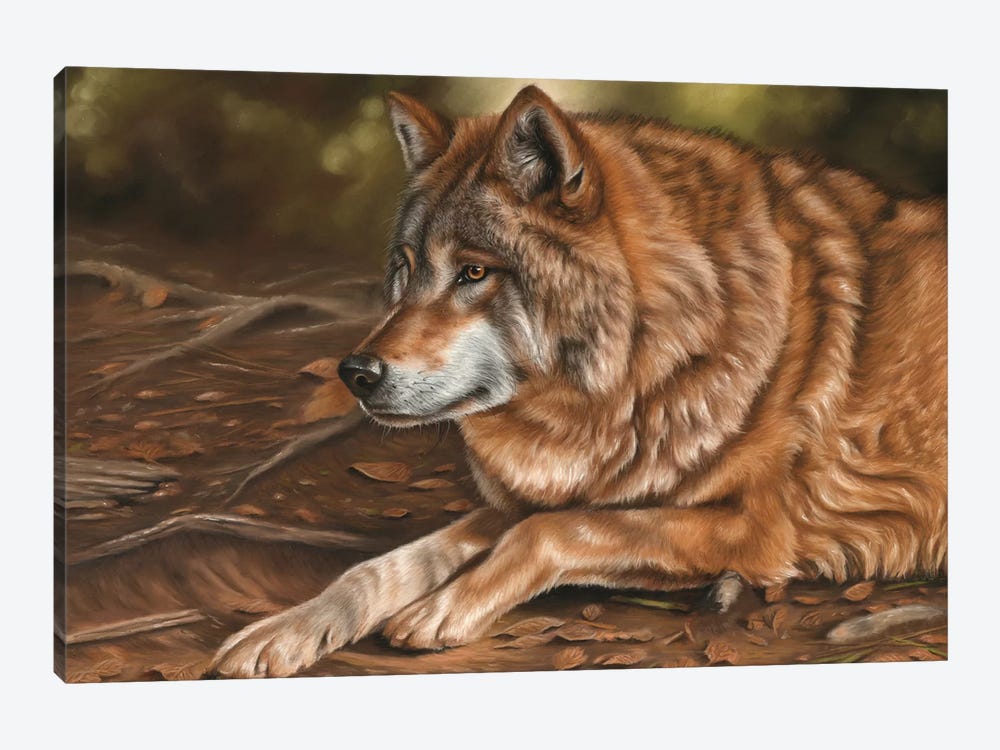Wolf by Richard Macwee 1-piece Canvas Artwork
