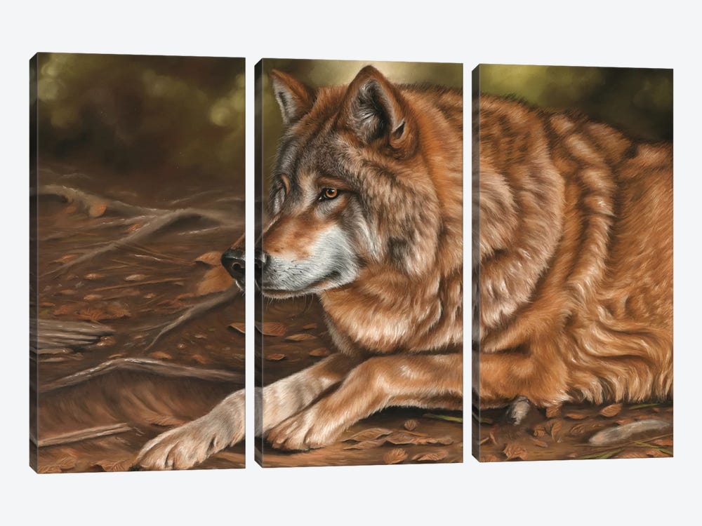 Wolf by Richard Macwee 3-piece Canvas Artwork