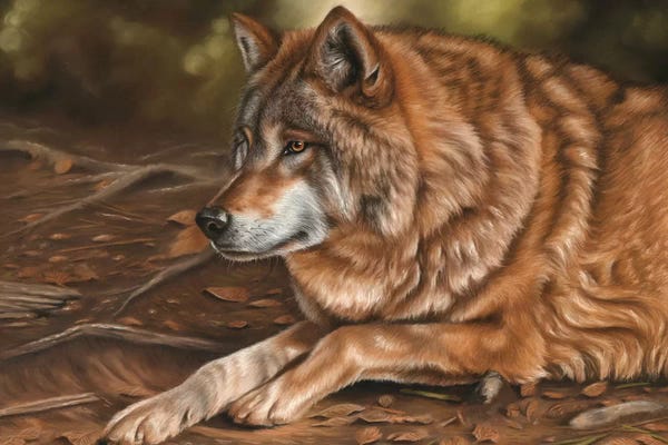 Richard Macwee: Wolf by Richard Macwee