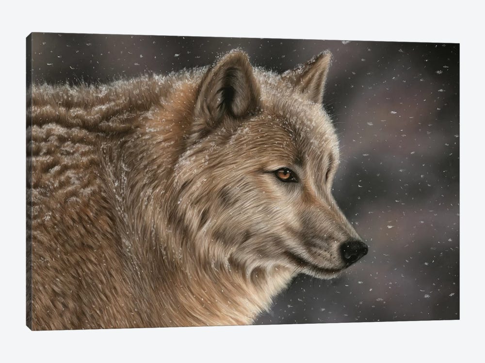 Wolf In Snow by Richard Macwee 1-piece Art Print