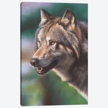 Wolf Portrait Canvas Print #RMC64} by Richard Macwee Canvas Wall Art