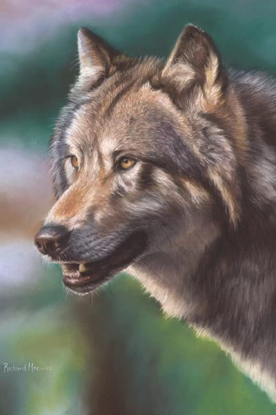 Richard Macwee: Wolf Portrait by Richard Macwee