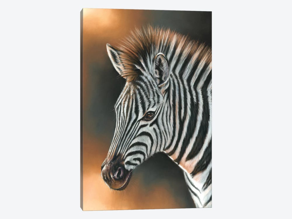 Zebra by Richard Macwee 1-piece Canvas Print