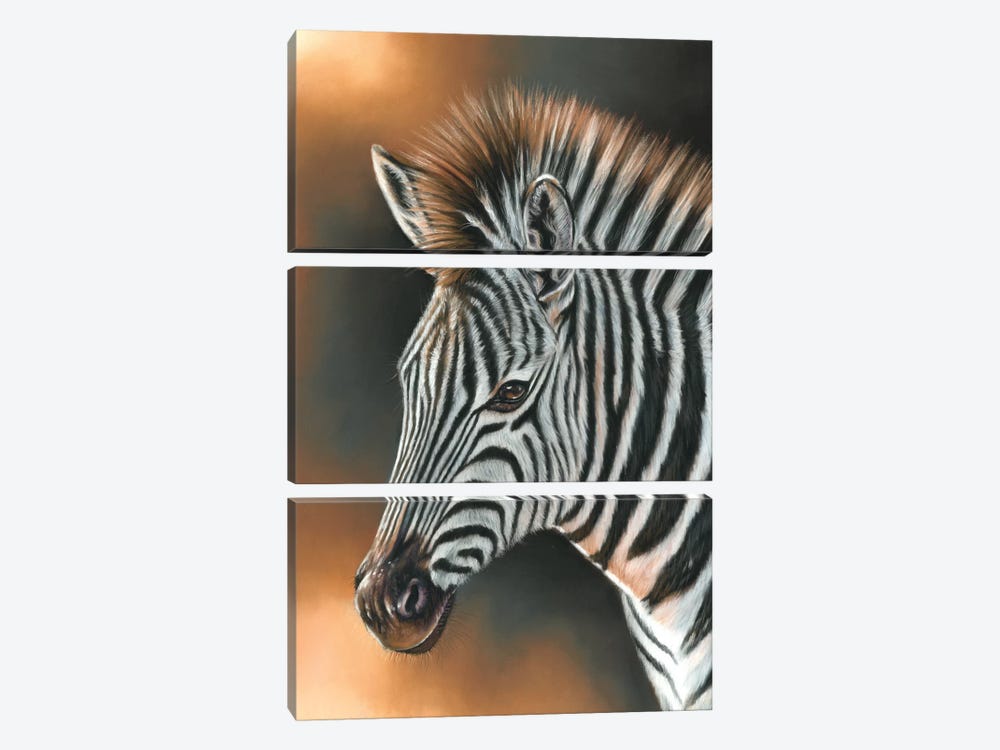 Zebra by Richard Macwee 3-piece Art Print