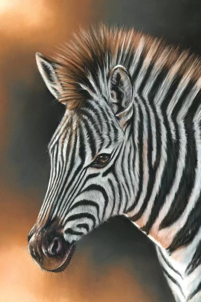 Zebras: Zebra by Richard Macwee
