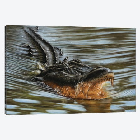 Alligator Canvas Print #RMC66} by Richard Macwee Canvas Wall Art