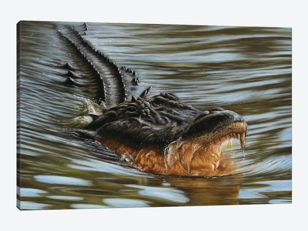 Alligator by Richard Macwee 1-piece Canvas Art