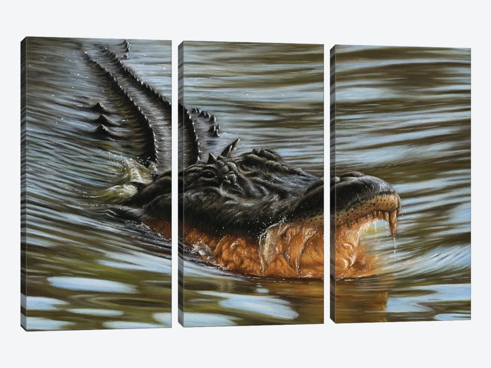 Alligator by Richard Macwee 3-piece Canvas Wall Art