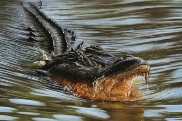 Richard Macwee: Alligator by Richard Macwee