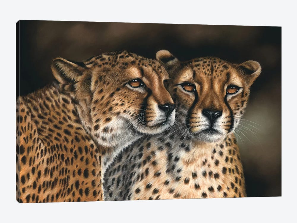 Cheetahs by Richard Macwee 1-piece Canvas Print