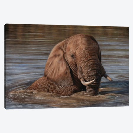 Elephant In Water Canvas Print #RMC70} by Richard Macwee Canvas Art