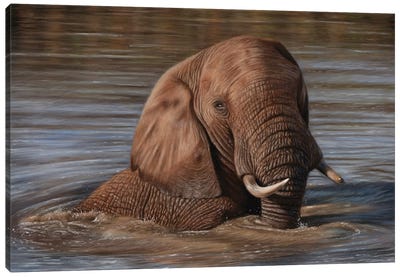 Elephant In Water Canvas Art Print - Richard Macwee