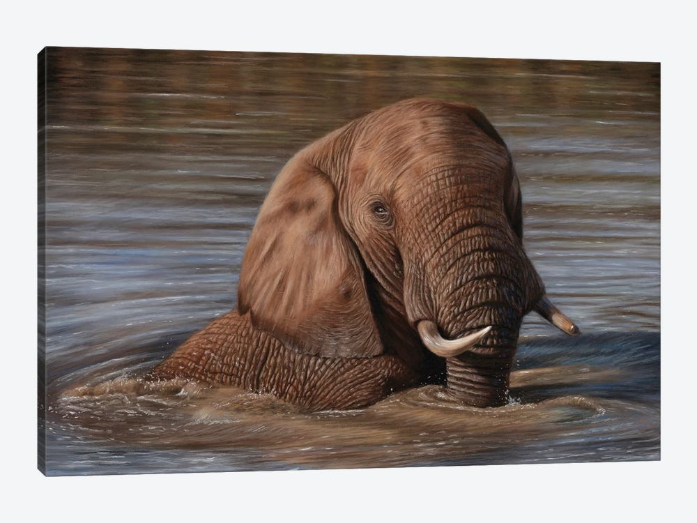 Elephant In Water by Richard Macwee 1-piece Canvas Print