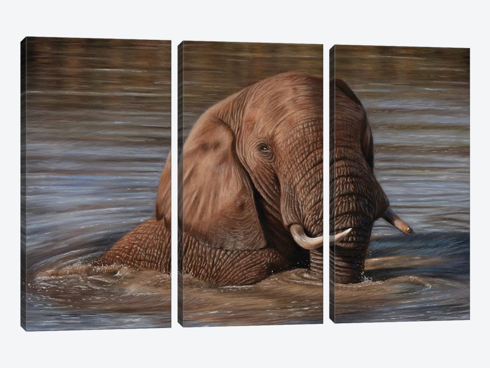 Elephant In Water by Richard Macwee 3-piece Art Print
