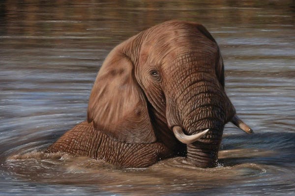 Richard Macwee: Elephant In Water by Richard Macwee