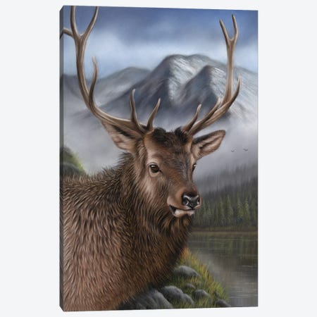 Elk Canvas Print #RMC71} by Richard Macwee Canvas Art