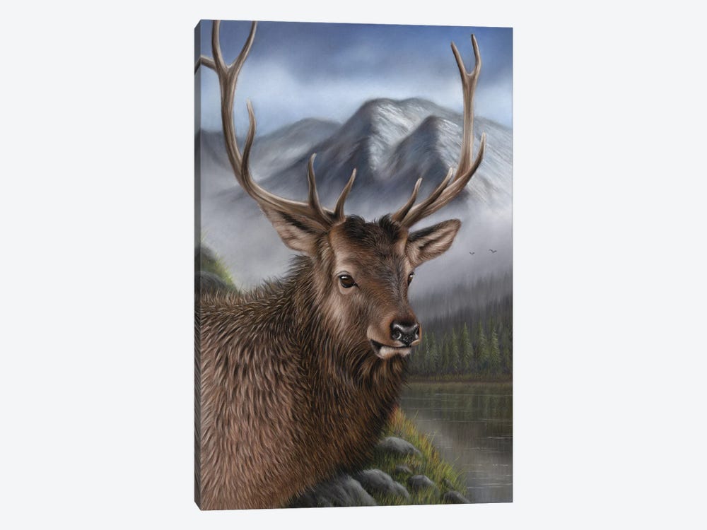 Elk by Richard Macwee 1-piece Canvas Wall Art