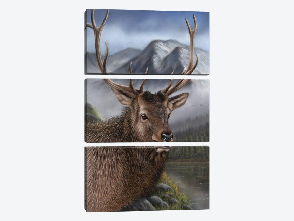 Elk by Richard Macwee 3-piece Canvas Artwork