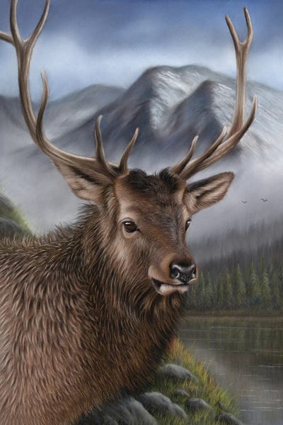 Richard Macwee: Elk by Richard Macwee