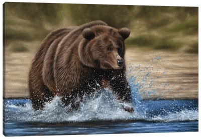 Grizzly Bear In Water Canvas Art Print - Grizzly Bear Art