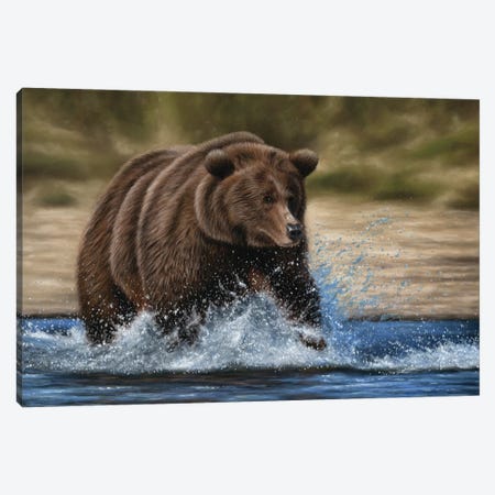 Grizzly Bear In Water Canvas Print #RMC72} by Richard Macwee Canvas Art