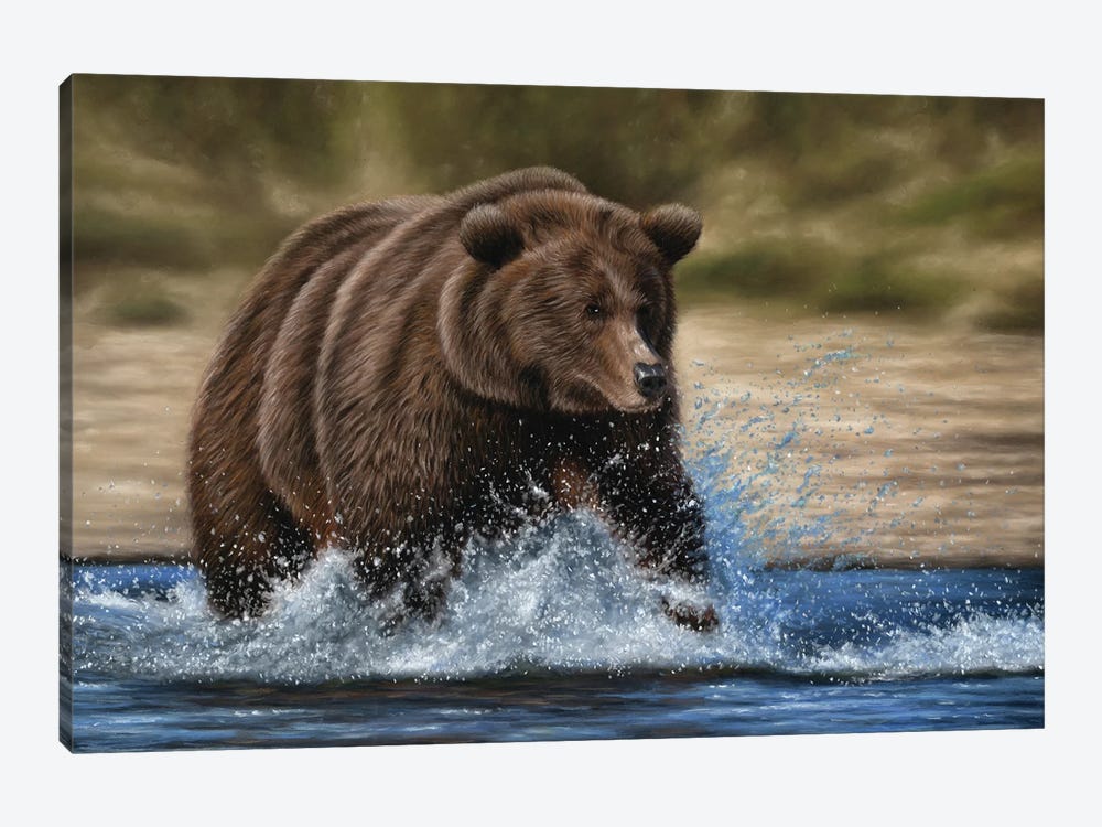 Grizzly Bear In Water by Richard Macwee 1-piece Canvas Print