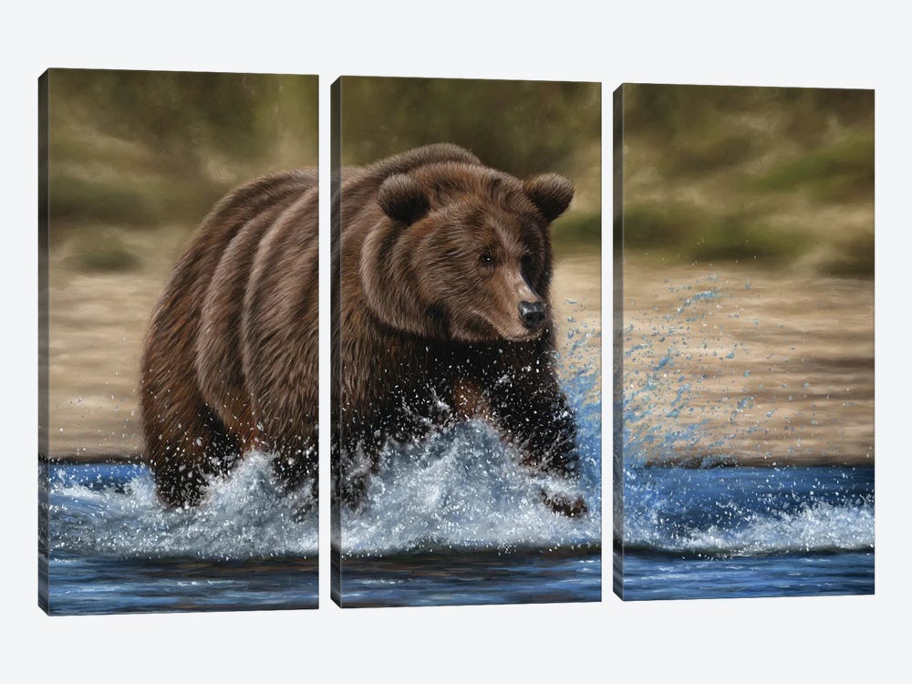 Grizzly Bear In Water by Richard Macwee 3-piece Art Print