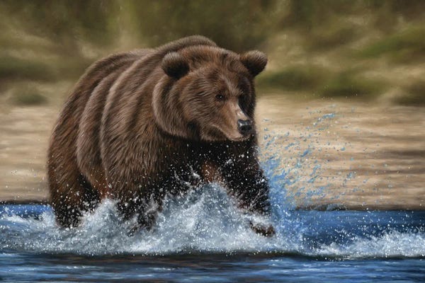 Richard Macwee: Grizzly Bear In Water by Richard Macwee