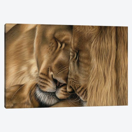 Two Lions Canvas Print #RMC74} by Richard Macwee Canvas Art Print