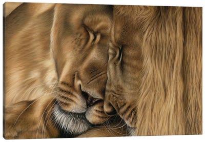Two Lions Canvas Art Print - Richard Macwee