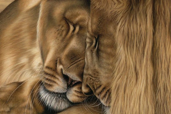 Richard Macwee: Two Lions by Richard Macwee
