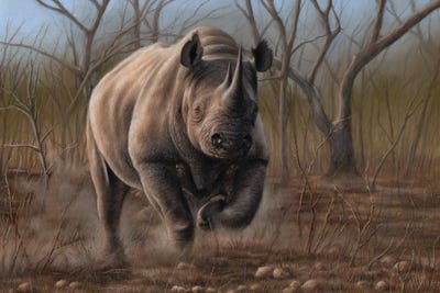 Charging Rhino by Richard Macwee multi panel art