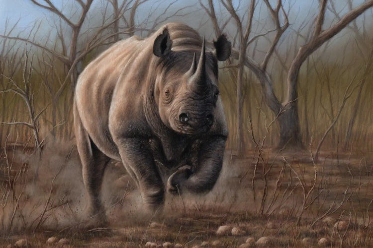 charging rhino wallpaper