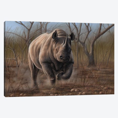 Charging Rhino Canvas Print #RMC76} by Richard Macwee Canvas Print