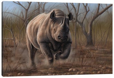 Charging Rhino Canvas Art Print - Richard Macwee