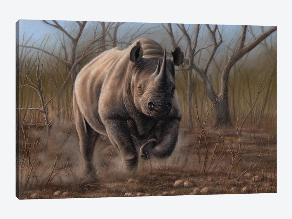 Charging Rhino by Richard Macwee 1-piece Canvas Art Print