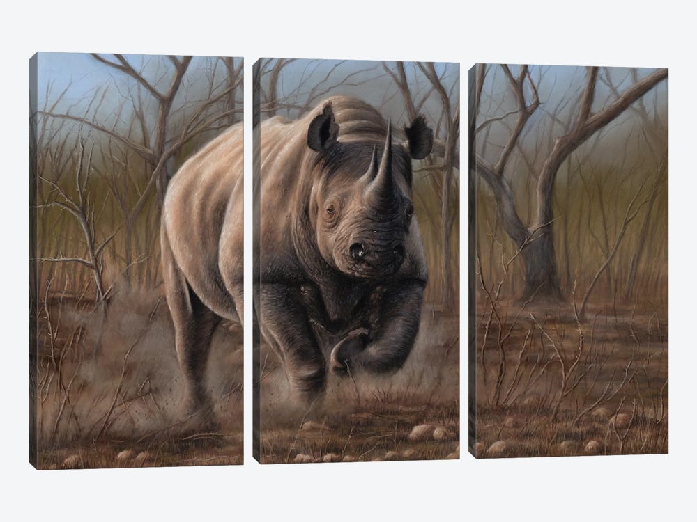 Charging Rhino by Richard Macwee 3-piece Art Print