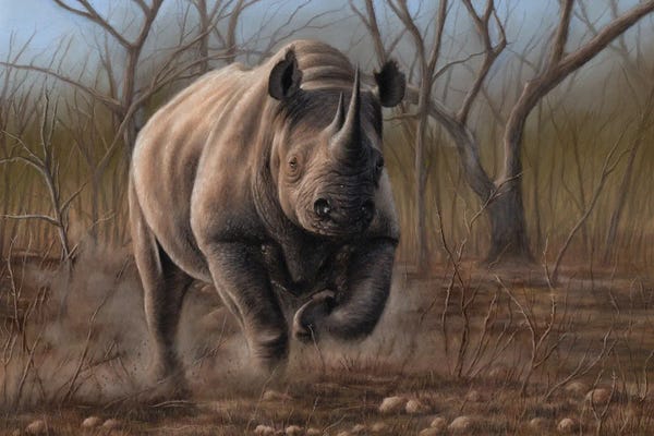 Fine Art Safari: Charging Rhino by Richard Macwee