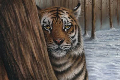 Siberian Tiger In A Forest by Richard Macwee framed canvas print