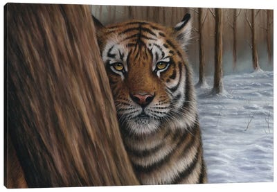 Siberian Tiger In A Forest Canvas Art Print - Richard Macwee