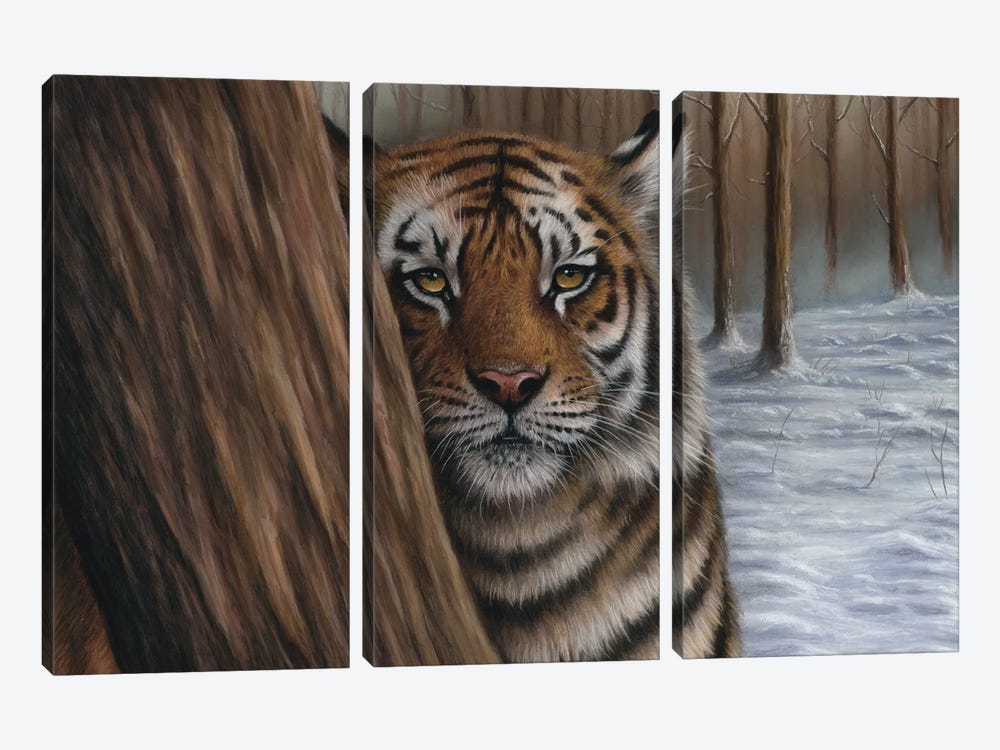 Siberian Tiger In A Forest by Richard Macwee 3-piece Canvas Artwork