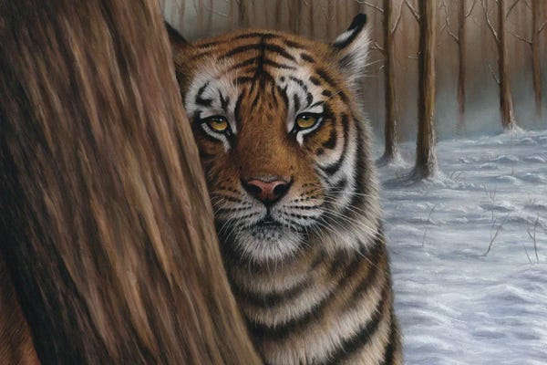 Richard Macwee: Siberian Tiger In A Forest by Richard Macwee