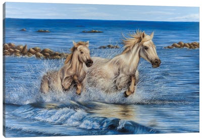 Camargue Horses Canvas Art Print - Richard Macwee